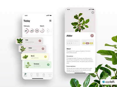 Hay Fever Health App – Mobile App Design app app design design health health app healthcare minimal mobile design ui ui design uiux ux