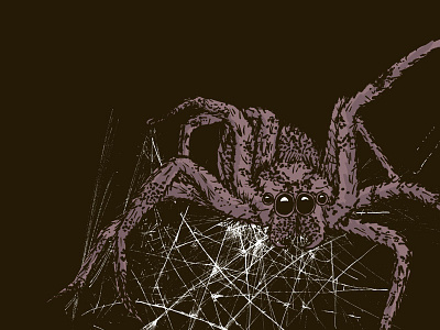 Along Came A Spider desktop wallpaper halloween illustration octavo designs spider wallpaper web