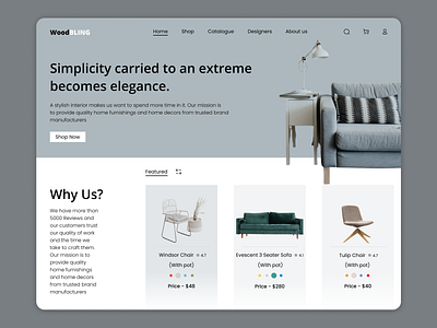 Furniture Website UI Design