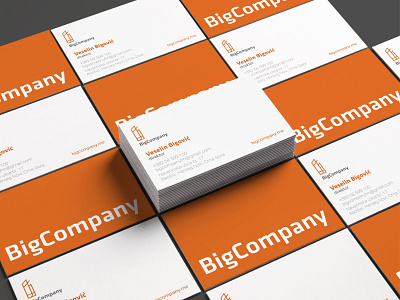 BIGCOMPANY / Visual identity