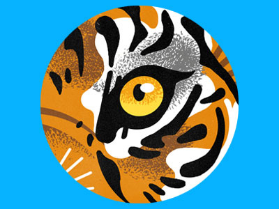 Eye of the Tiger app design icon illustration nature tiger