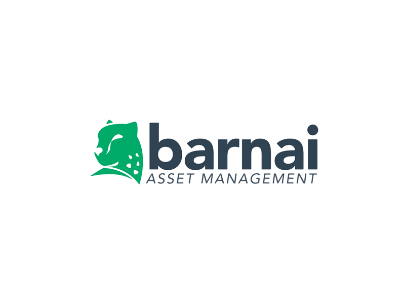 Barnai Logo Animation animation branding logo