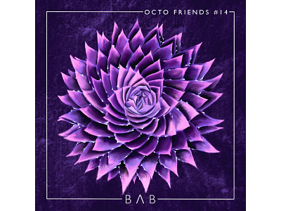 Octo Friends #14 - BΛB branding design illustration logo procreate