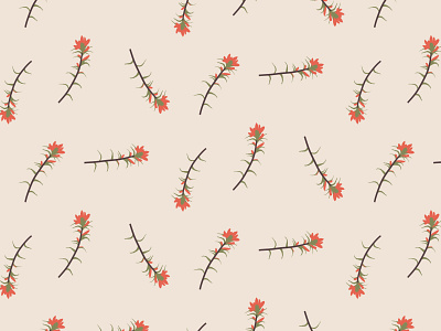 Paintbrush Wildflower Pattern adobe illustrator graphic design illustration indian paintbrush paintbrush wildflower pattern design randomization surface pattern design wildflower