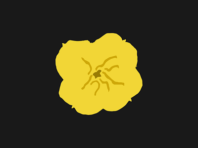 Missouri Primrose adobe illustrator illustration missouri primrose pollinator garden sustainability wildflowers