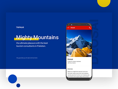 Deosai Mountains App Design app branding design logo minimal