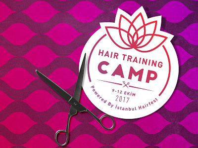 Hair Training Camp - Badge Logo