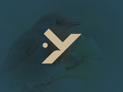 Yirb Letter bird letter logotype monogram y