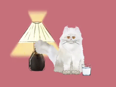 The Cat after effects animation cat cute glass lamp ligth persian tail