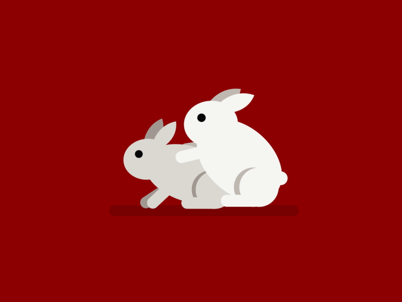 Pair of Bunnies <3 after effects bunnies bunny gif hump illustration loop love motion design sex