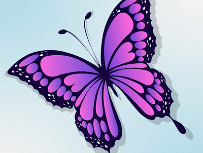 Buterfly baterfly beautiful design illustration vector