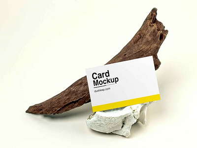 Business Card on Wood Branch Mockup