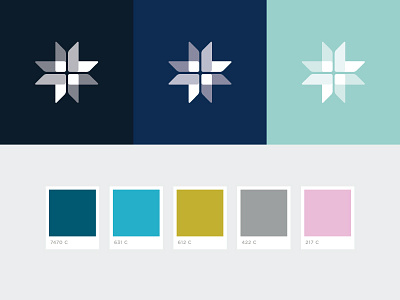 St. Mary's Academy color palette