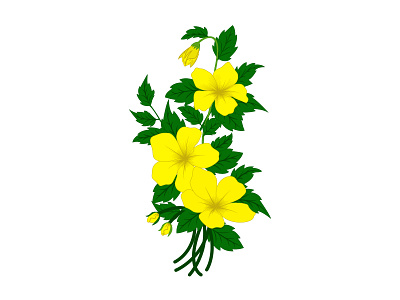 Beautiful yellow sage flower floral vector in illustration art floral floral design flowar art graphic graphic design illustration