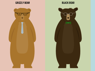 Bear Identification bear black bear bow tie business casual glasses grizzly illustration spectacles tie