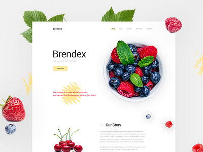 Brendex design food frozen fruits landing site web
