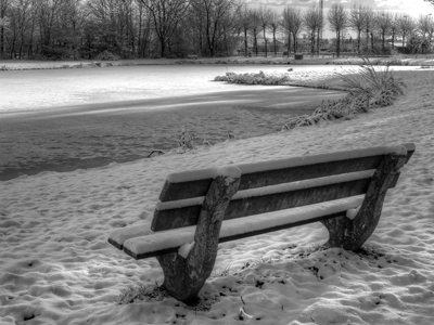 First Price Picture - Silent Winter bench hdr hometown koekelare photography picture silent snow winter