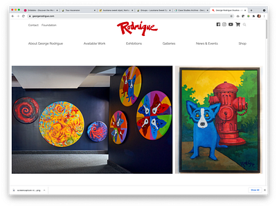 Website Design and Code WordPress for George Rodrigue art direction ui ux web website design wordpress