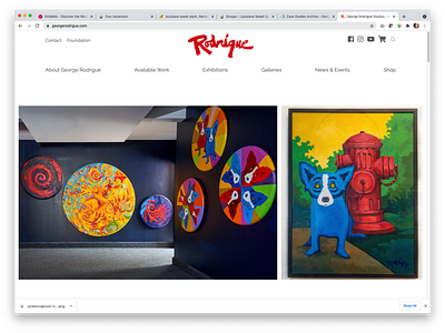 Website Design and Code WordPress for George Rodrigue