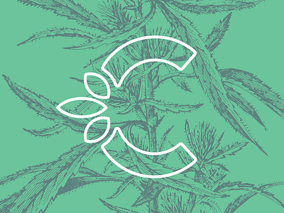 Branding legalization and regulation of Cannabis botanical branding cannabis green leaves legalization legalize marihuana