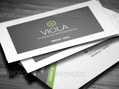 Professional Business Card black busines card card card visite clean collaborate colorize colors company corporate creative green name card premium professional template white