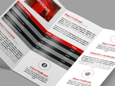 Business Corporate Tri Fold Brochure creative customizable design designer editable flexible gray identity layered red tri fold