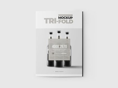 Tri-Fold A5 Brochure Mock-up photo-realistic pamphlet mockup mock up handbill folder flyer flier europe elegant divided into three centerfold brochure mock-up booklet bill advertising folder advertisement advert a5 a4
