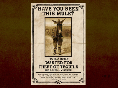 Have you seen this Mule? graphic design illustration mule poster tequila typography wanted poster