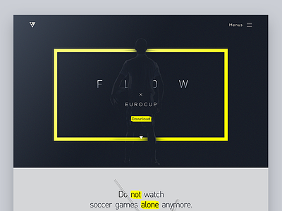 Flow web redesign