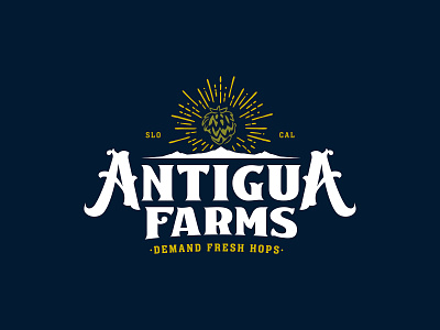 Antigua Farms // Branding beer brand identity branding craft beer hops logo