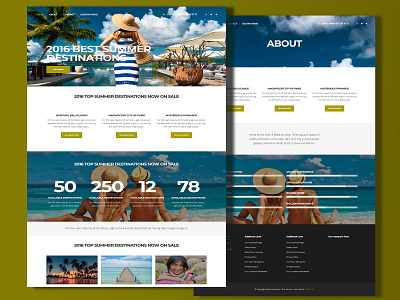 Tour & Travel Agency 
WordPress Website