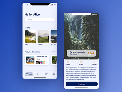 Traveling IOS APP app design ios ui ux