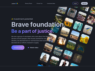 Investments in Ukraine design ui ux we web