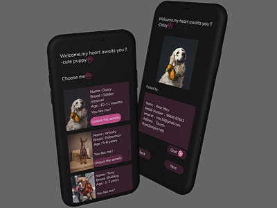 Mobile App Design for Stray Dogs