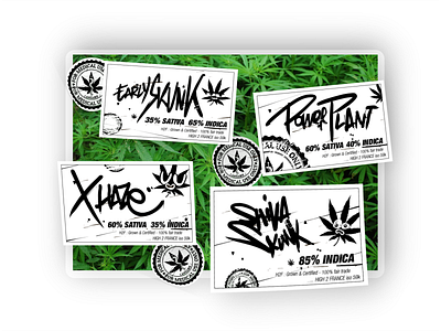Would you like some Tegridy ? colorado design dontdodrugs etiquette green hand lettering hand written identity branding identity design indica label medical oops plants power plant southpark tag tegrity vector