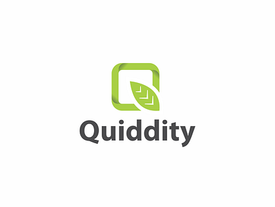 Quiddity brandidentity branding illustration logo logodesign logoidentity logomark monogram logo techno ui ux