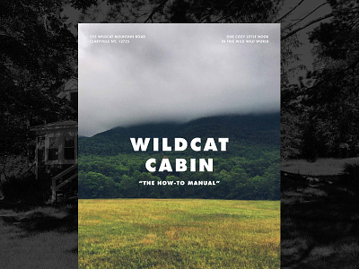Wildcat Cabin Airbnb Manual airbnb cabin catskills manual wildcat