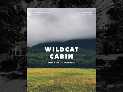 Wildcat Cabin Airbnb Manual