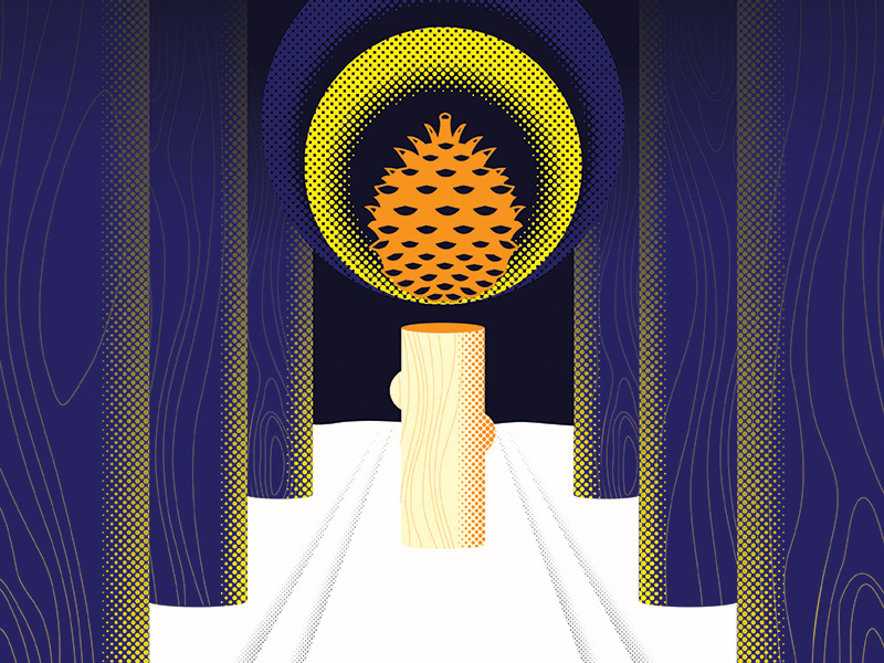 Backwoods Candlelit Skiing pinecone snow winter skiing candle night minnesota woods