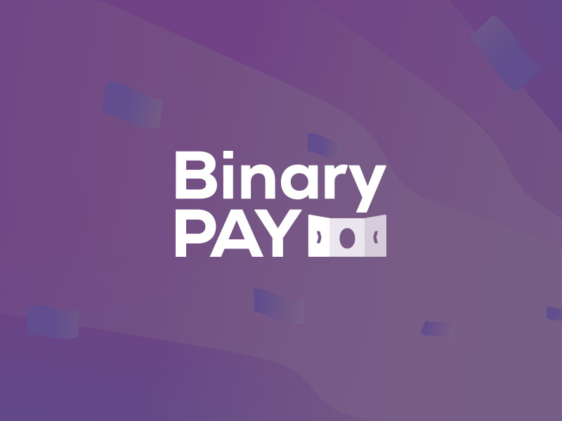 BinaryPay Logotype binarypay payment system logo logodesign logotype