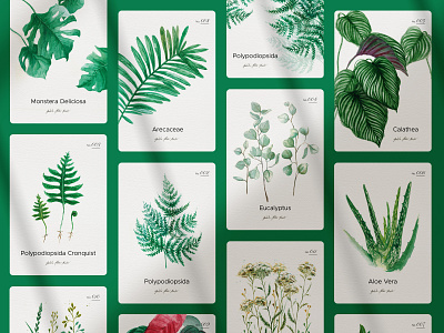 Botanical - watercolors collection