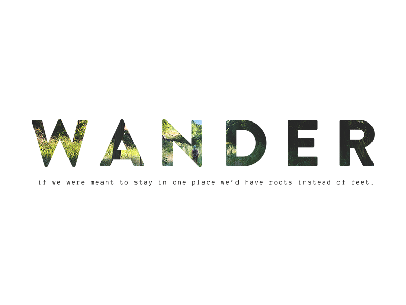 Wander Text Wander Gram by Lexi Cheng on Dribbble
