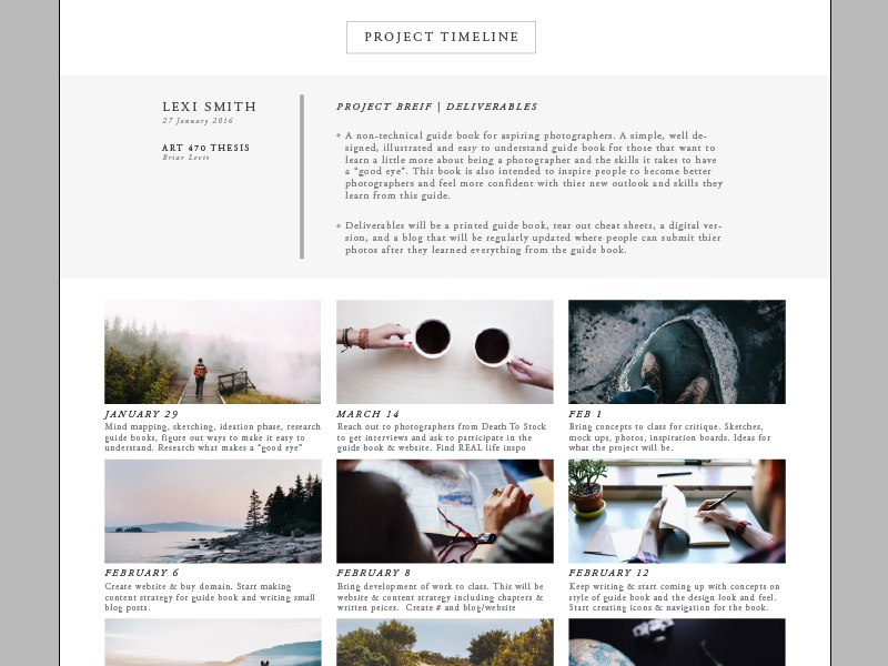 Project Timeline Layout by Lexi Cheng on Dribbble