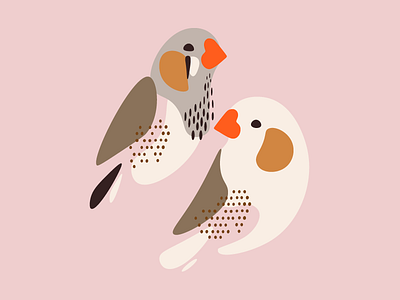 Zebra Finches