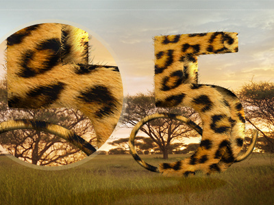 Top 5 safari tours 5 africa cheetah dusk five fur number photoshop safari skin sunset tour