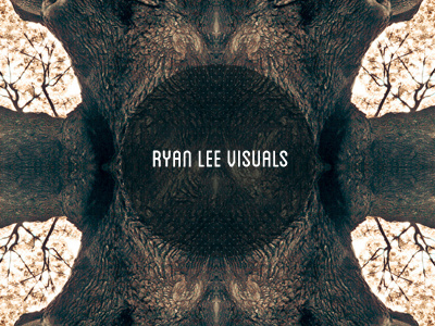 Ryan Lee Visuals