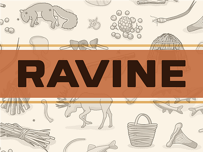 Ravine by Mathew Sisson — Kickstarter