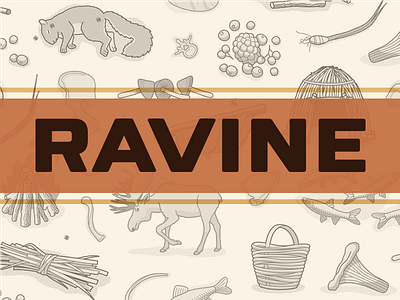Ravine - A Crafty & Cooperative Card Game