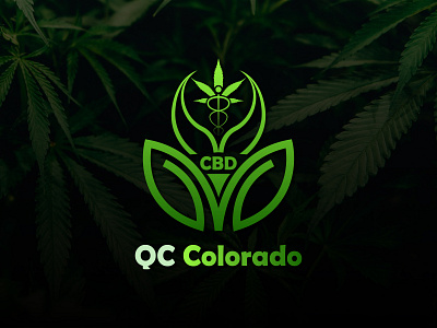 QC Colorado cannabis cannabis logo cbd custom font logo custom logo design designer green cannabis green logo illustration logo logo design logo designer modern logo oil company oil logo qc colorado typography logo weed weed logo