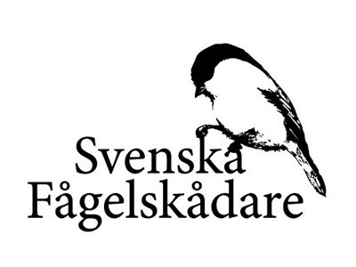 Svenska Fågelskådare logo logo design